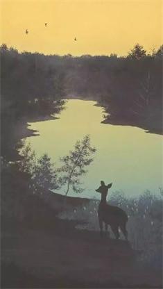 病娇先生宠上天