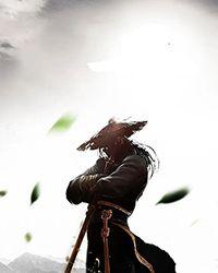 凰惊天下：天才第一魔妃